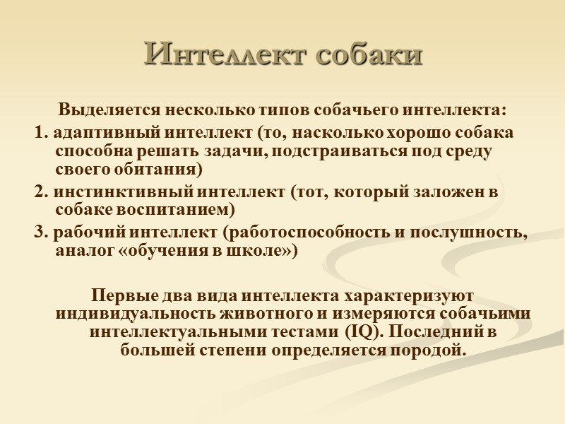 Интеллект собаки Выделяется несколько типов собачьего интеллекта: 1. адаптивный интеллект (то, насколько хорошо собака